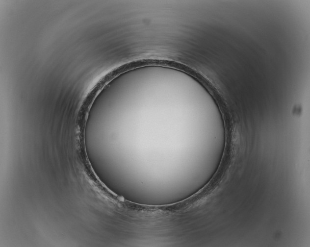 X0000112420926200908281835