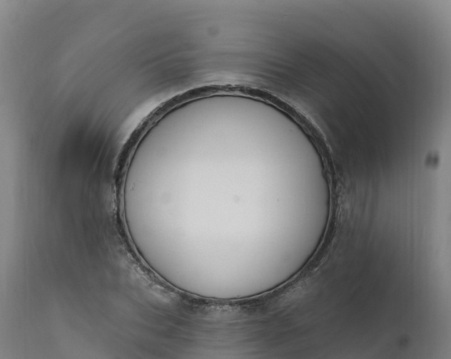 X0000112420927200908281835