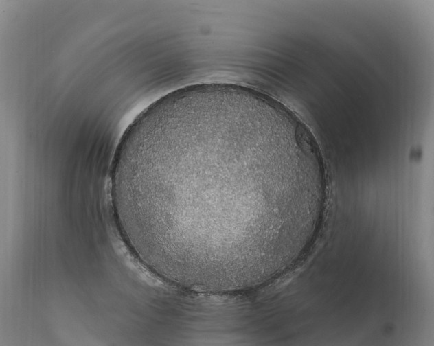 X0000112420928200908281835