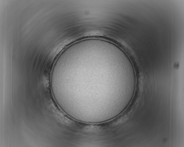 X0000112420929200908281835