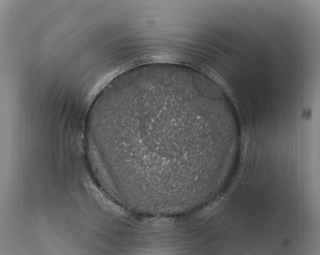 X0000112420930200908281835