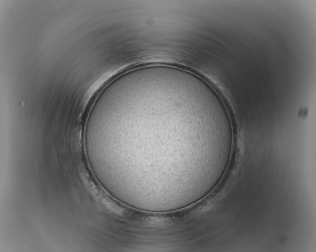 X0000112420933200908281835