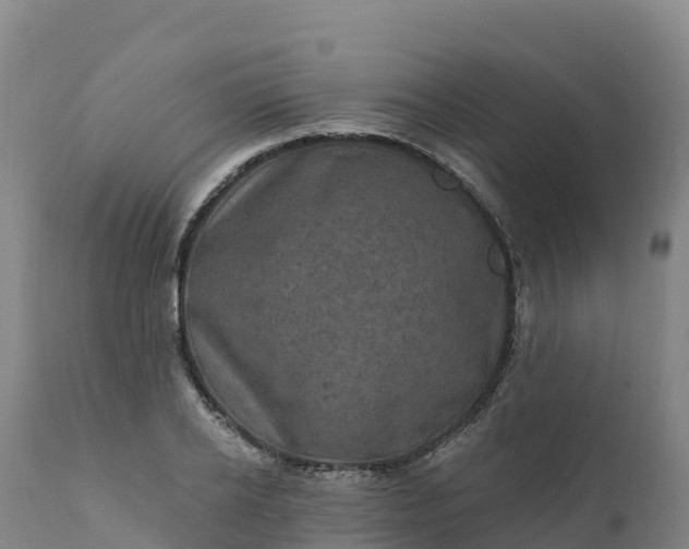 X0000112420934200908281835