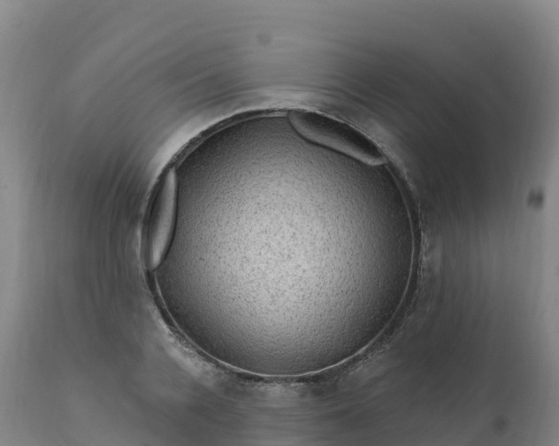 X0000112420936200908281835