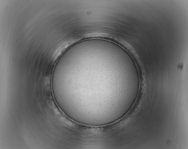 X0000112420937200908281835