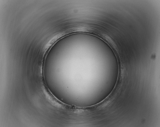 X0000112420938200908281835