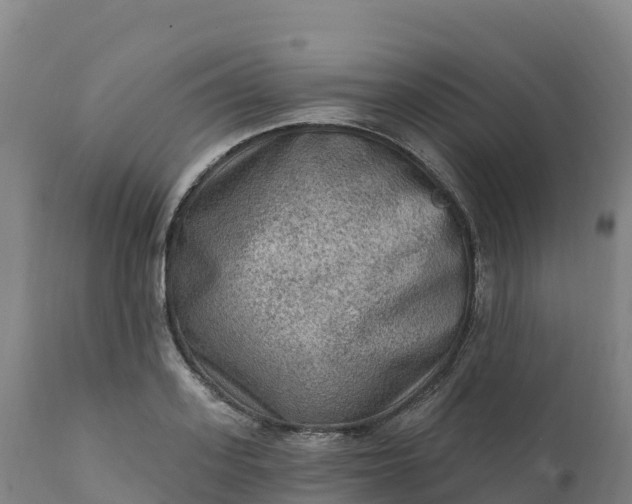 X0000112420939200908281835