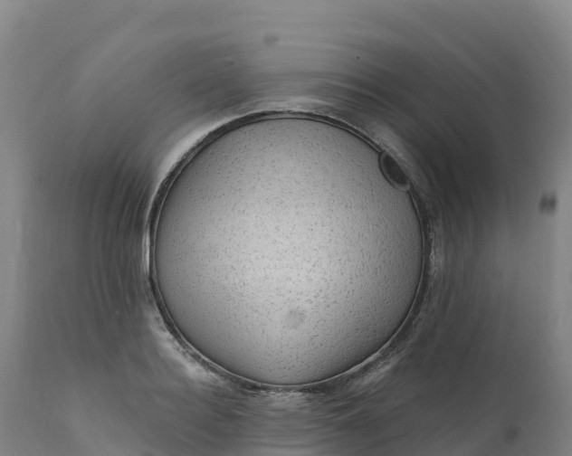 X0000112420940200908281835