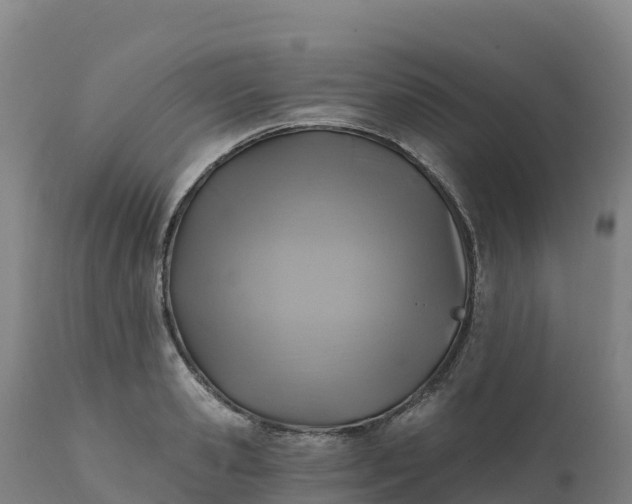 X0000112420941200908281835