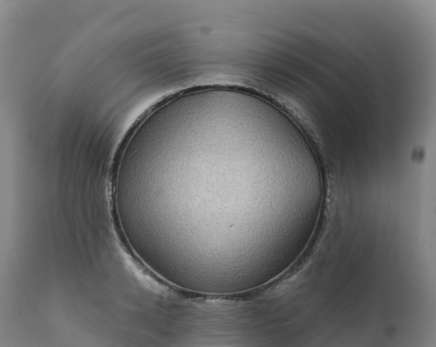 X0000112420942200908281835