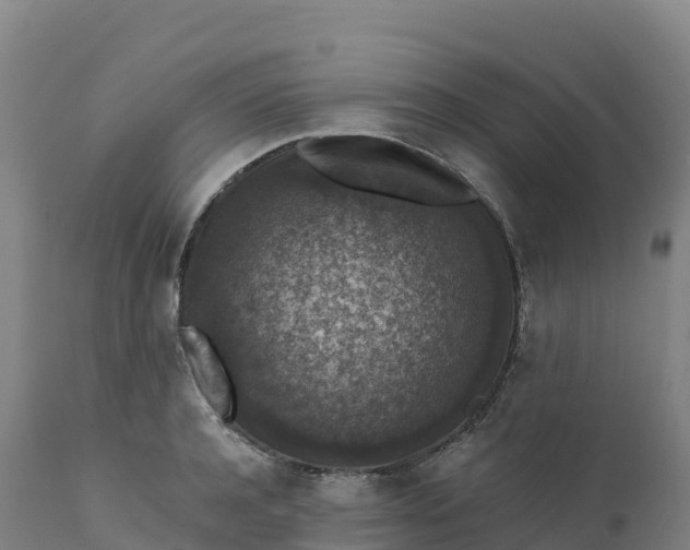 X0000112420944200908281835