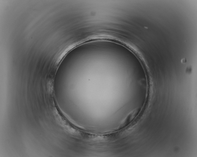 X0000112420945200908281835