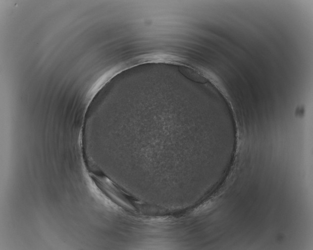 X0000112420946200908281835