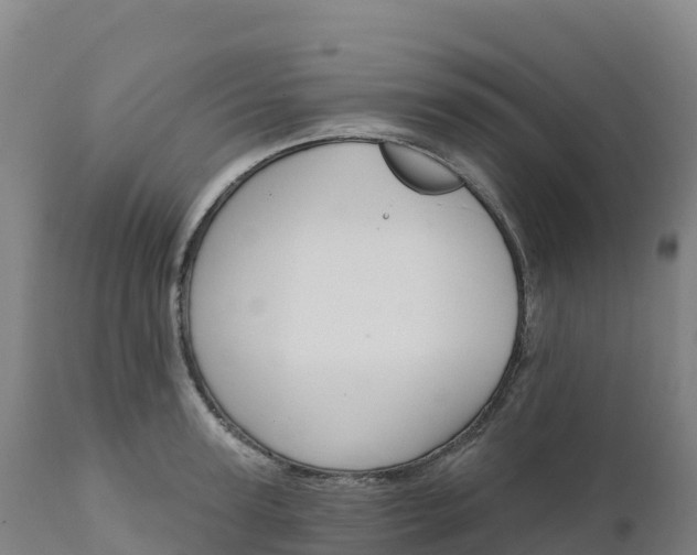 X0000112420947200908281835