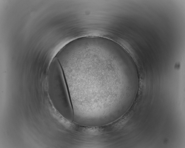 X0000112420948200908281835