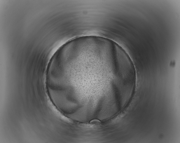 X0000112420949200908281835