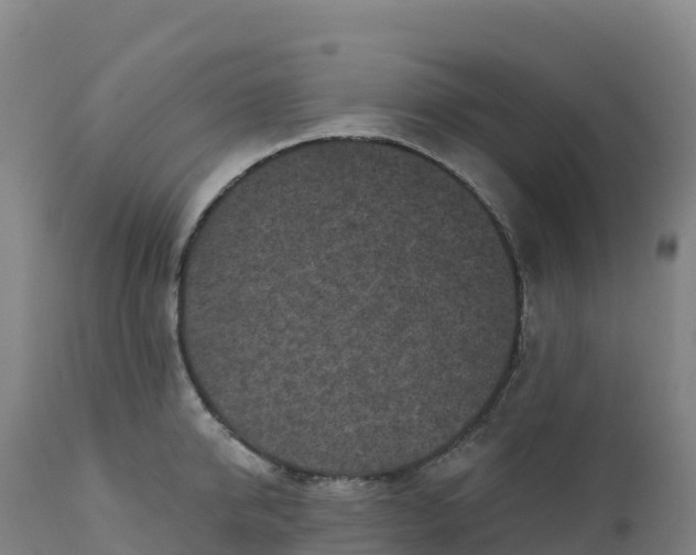 X0000112420950200908281835