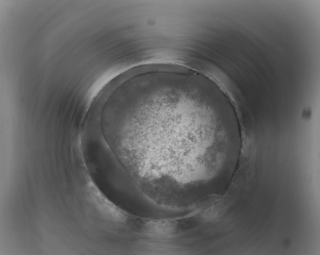 X0000112420952200908281835