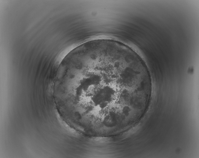 X0000112420953200908281835