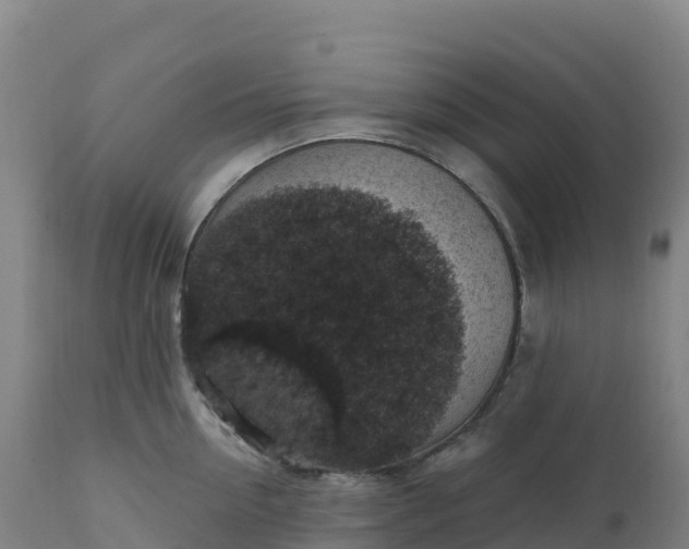 X0000112420954200908281835