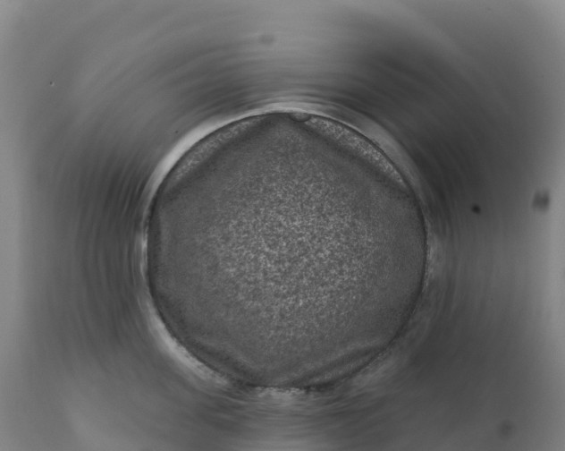 X0000112420955200908281835