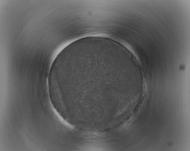 X0000112420959200908281835