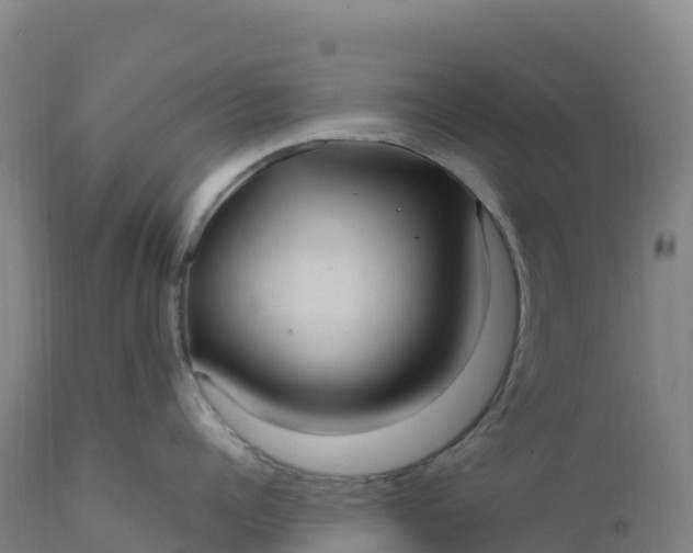 X0000112420960200908281835