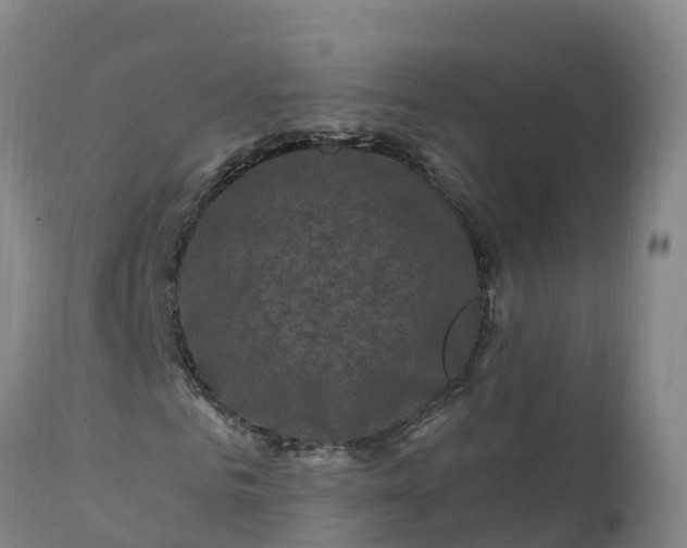 X0000112420961200908281834