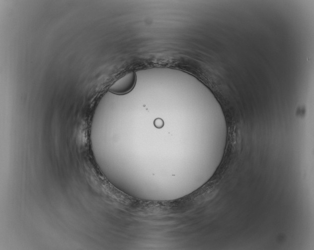 X0000112420962200908281834