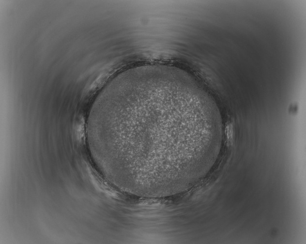 X0000112420963200908281834