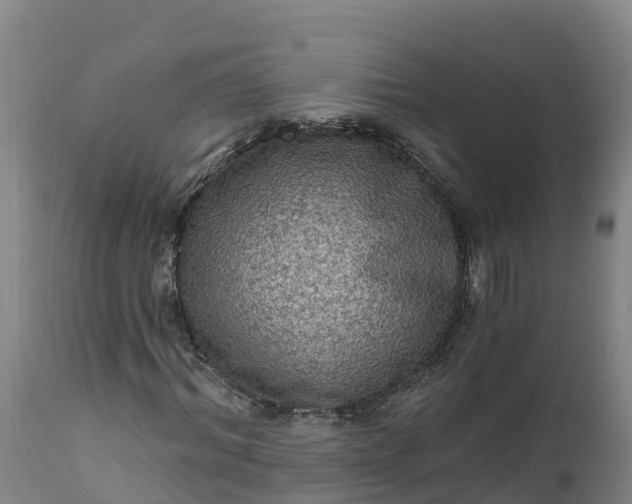 X0000112420964200908281834