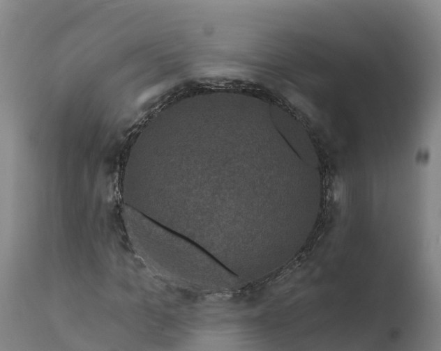 X0000112420965200908281834