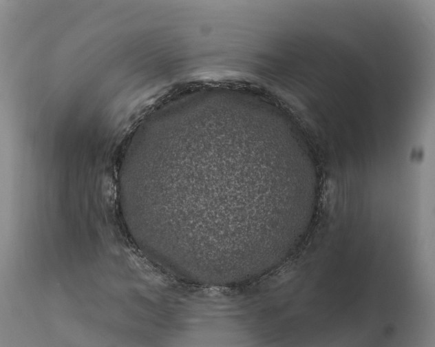 X0000112420966200908281834