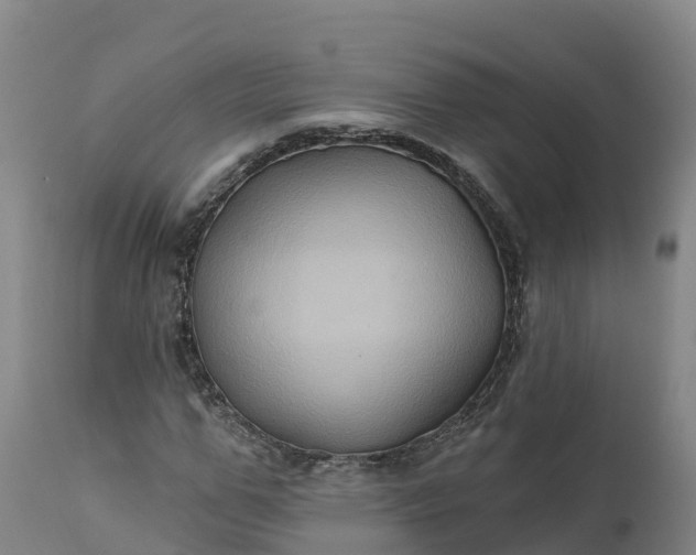 X0000112420967200908281834