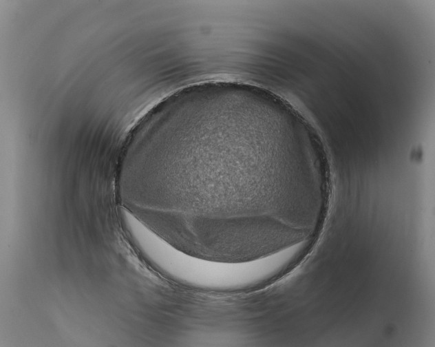 X0000112420969200908281834