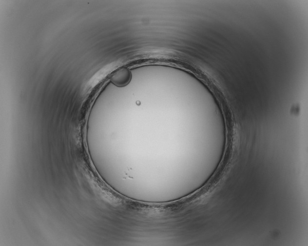 X0000112420970200908281834