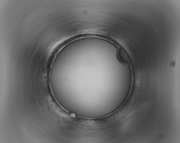 X0000112420971200908281834