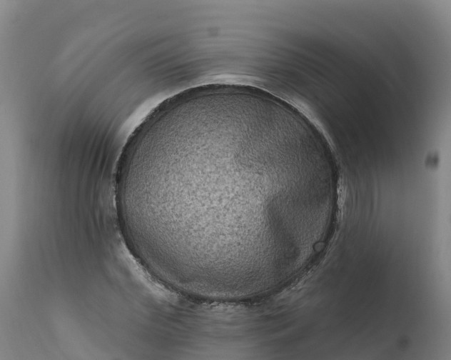 X0000112420972200908281834