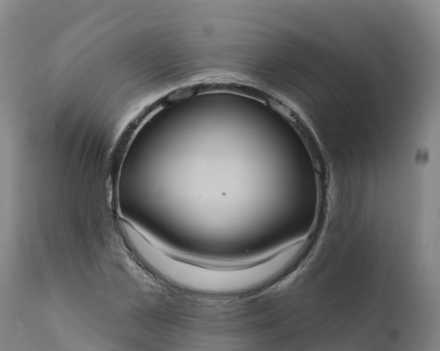 X0000112420973200908281834