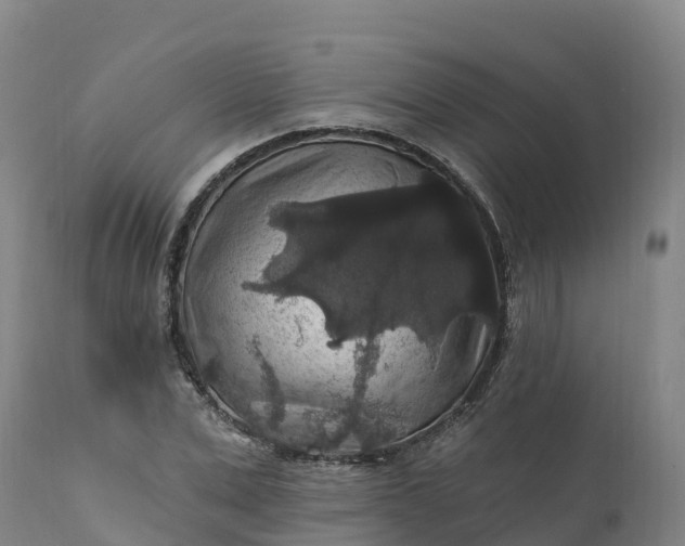 X0000112420975200908281834