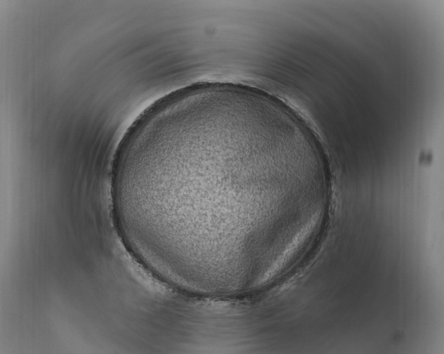 X0000112420976200908281834