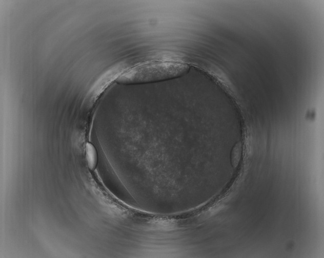 X0000112420977200908281834