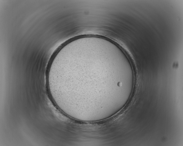 X0000112420980200908281834