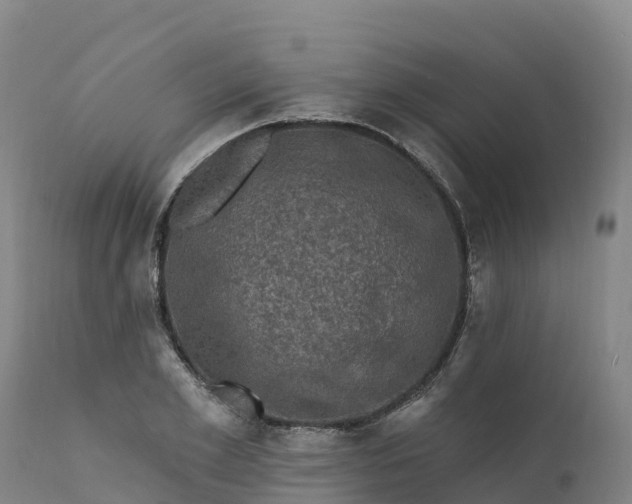 X0000112420981200908281834