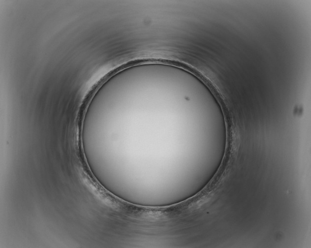 X0000112420982200908281834