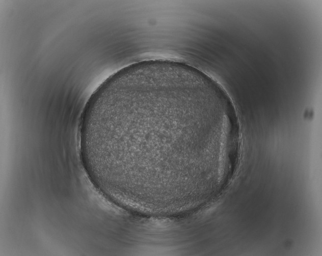 X0000112420983200908281834