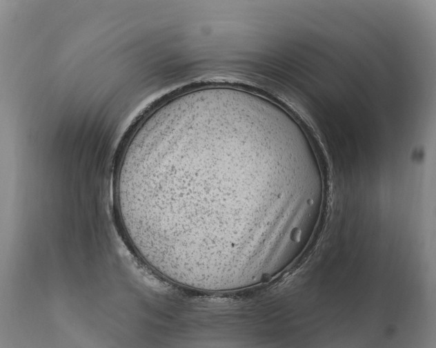 X0000112420984200908281834