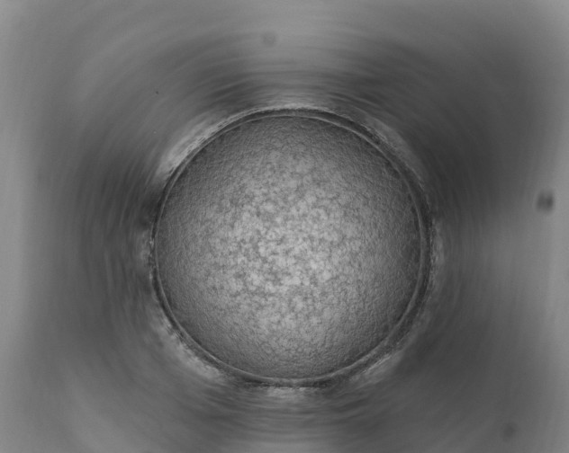 X0000112420985200908281834