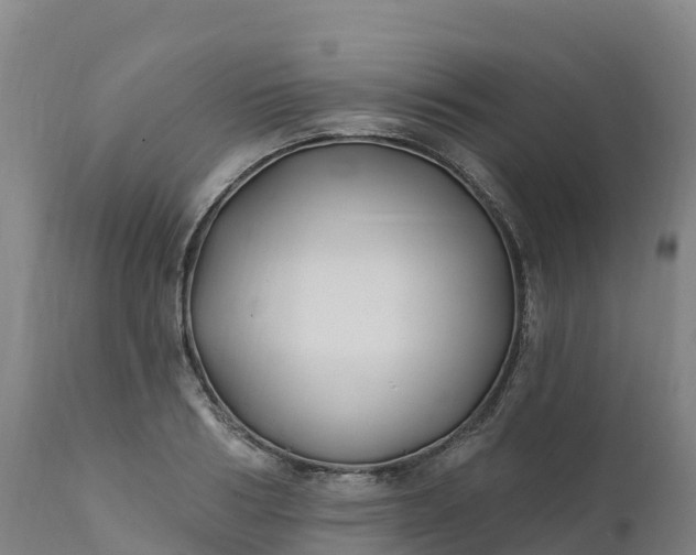 X0000112420986200908281834