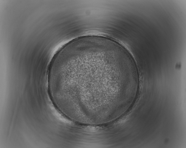 X0000112420987200908281834